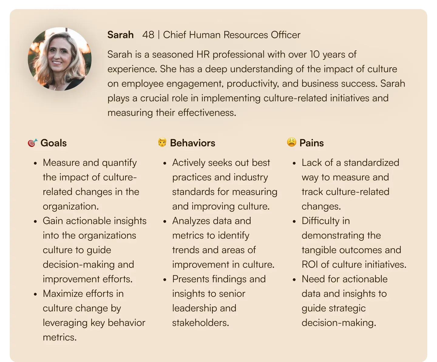The primary persona: an executive-level HR member, with a C-level executive as secondary.